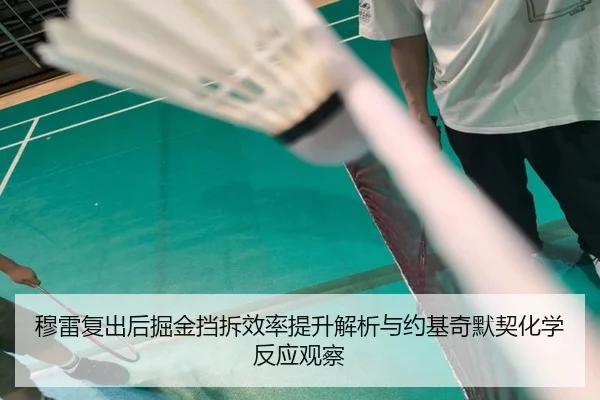 穆雷复出后掘金挡拆效率提升解析与约基奇默契化学反应观察